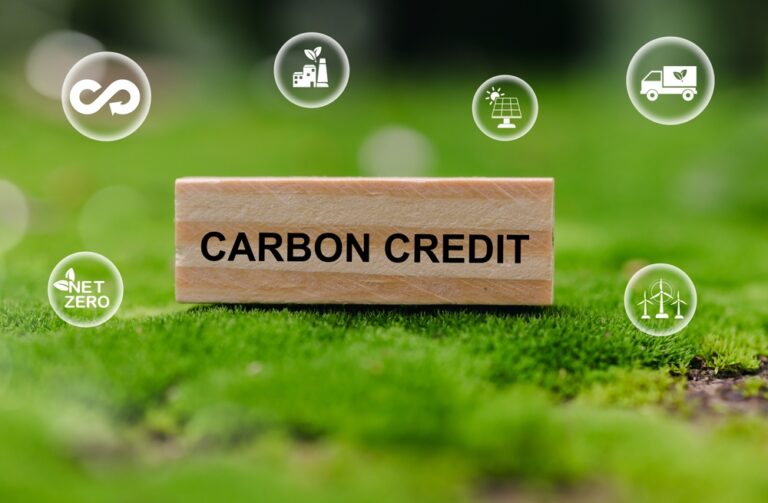The Carbon Credit Market in 2025 is A Turning Point: What Comes Next for 2026 and Beyond?