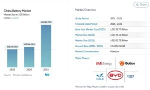china battery market