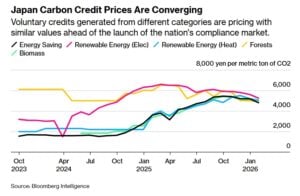 carbon credit Japan