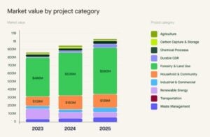 market value by project category 2025