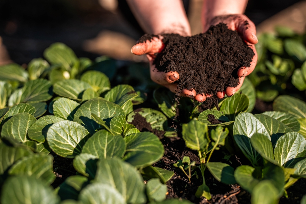 Indigo Carbon Surpasses 2 Million Soil Carbon Credits in Landmark 1.1 Million Issuance