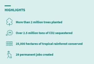 SABAH MALAYSIA RAINFOREST