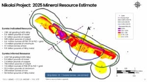 aemc nikolai nickel