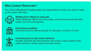 MERCEDEs CARBO REMOVALS 