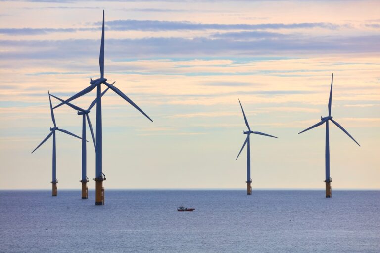 Trump Admin Pays TotalEnegries $1B to Scrap Wind Projects, Putting a Hold on America’s Clean Energy Plans