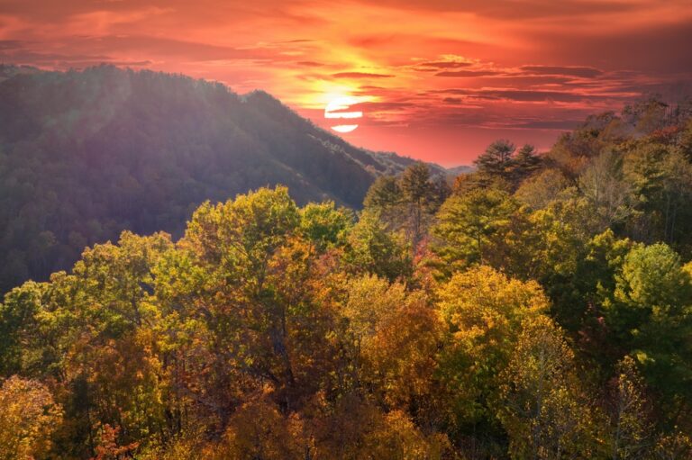 Google, Meta and McKinsey Lead Carbon Removal Boom and Turn Appalachia Green