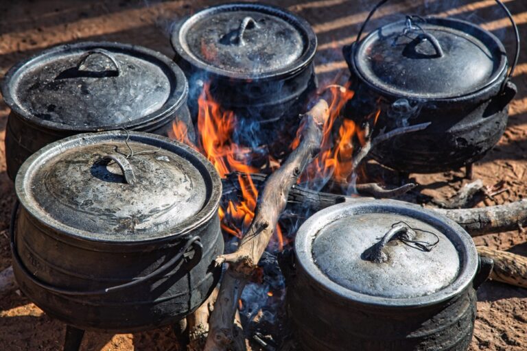 EU Eyes International Carbon Credits to Meet 2040 Climate Target and Expand Clean Cooking