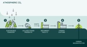 north star beccs carbon removal