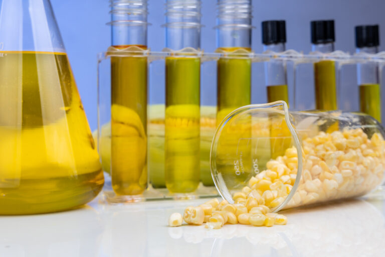 U.S. Biofuel Market 2026: Can EPA Policies Offset War-Driven Volatility?