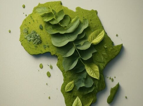 Africa’s $100B Carbon Opportunity: How Sovereign Markets Could Lead the World