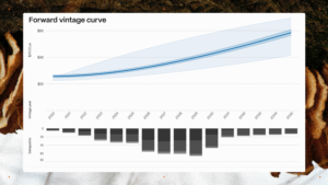 abatable forward vintage curve carbon credit pricing