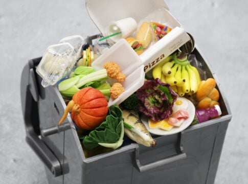 Verra’s VM0046 Methodology Opens New Path for Food Loss and Waste Carbon Credits