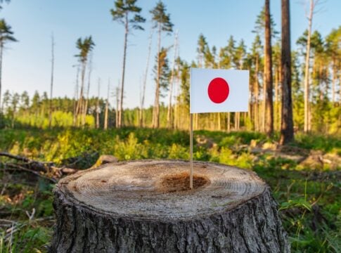 From Timber Crisis to Climate Opportunity: Why Carbon Credits Are Becoming Critical for Japan’s Forest Future