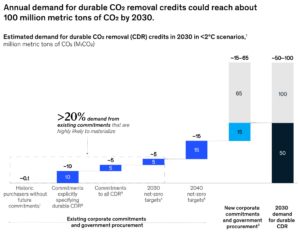durable carbon removal credits demand by 2030