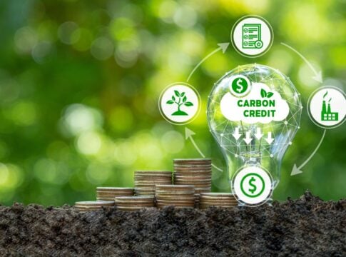 Carbon Credit Retirements Hit Record High Despite Falling Supply: What Does This Say About the Market?