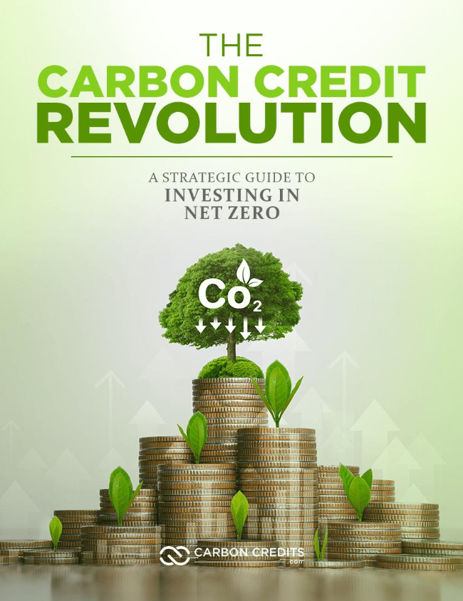 The Carbon Credit Revolution — A Strategic Guide to Investing in Net Zero
