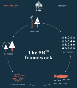 EFM 5R framework for forest improvement