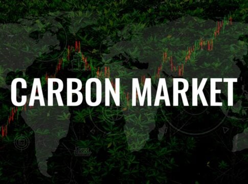 Zambia, Brazil and Ecuador Accelerate Carbon Markets as Article 6 Gains Ground