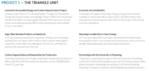 Cowboy's Triangle Unit project