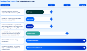 Salesforce climate and nature