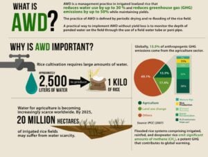 methane emissions AWD RICE Emissions