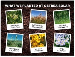 land conservation