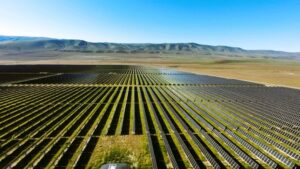 ostrea solar cypress creek