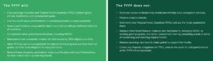 TFF tropical forest fund