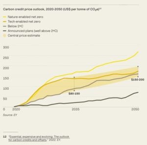 carbon credit prices