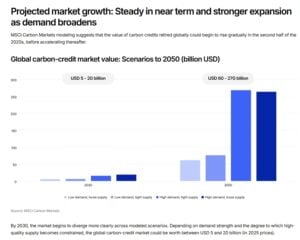 carbon market