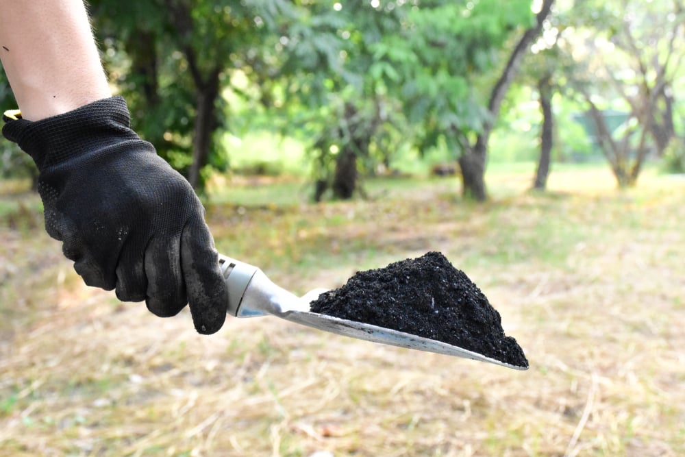 Biochar Carbon Removal Is Heating Up. Exomad Green and Carbonfuture Lock In 1.1M Tonnes Through 2035