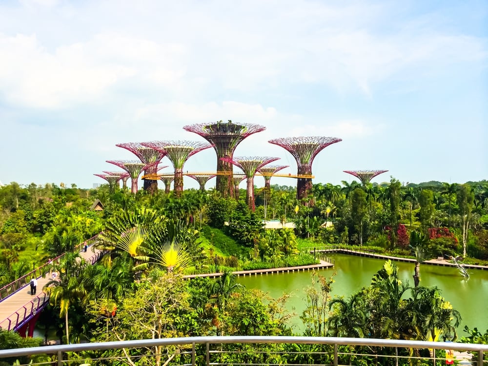 Singapore Targets 12 Million Carbon Credits in Major Article 6 Tender