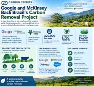 Google and McKinsey Back Carbon Removal Brazil