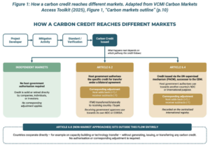 HOW A CARBON CREDIT REACHES DIFFERENT MARKETS