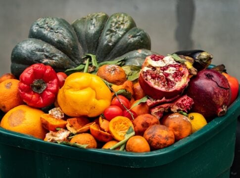 Verra Approves First Carbon Credits Under Food Loss and Waste Methodology