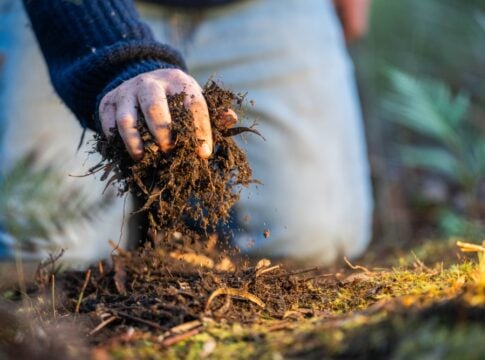 Europe’s Soil Carbon Market Gets a First: Gold Standard Credits Issued in France and Belgium